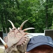  ,   , 44 ,   ,   , c 