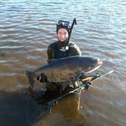 ���������� �����, ���� ������� ������, 44 ����, ������������ ��� ������