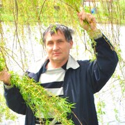 ���������� ����, ���� ������� �������, 68 ���, ������������ ��� ����� � ���������, c�������� ���������