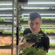 ���������� ���������, ���� ������� ������, 31 ���, ������������ ��� ����� � ���������, c�������� ���������, ���������