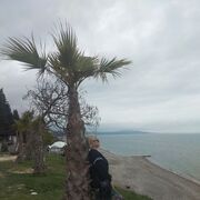 ���������� ������, ���� ������� ��������, 51 ���, ������������ ��� ������, ����� � ���������