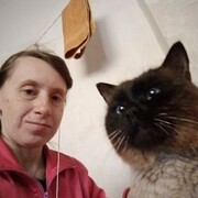 ���������� ��������, ������� ���, 36