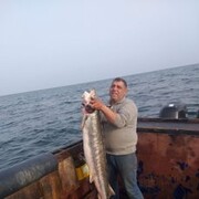  ,   Ramiz, 47 ,  