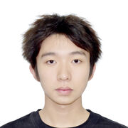  ,   ZSX, 33 ,   ,   