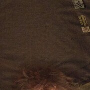 ���������� ������, ���� ����� ���, 22 ����, ������������ ��� ������, ����� � ���������