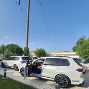 ���������� �������, ���� ������� Ali, 38 ���, ������������ ��� ������, ����� � ���������