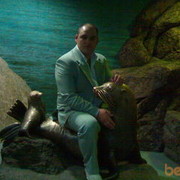 ���������� ��������, ���� ������� ���������, 43 ����, ������������ ��� ������, ����� � ���������, c�������� ���������