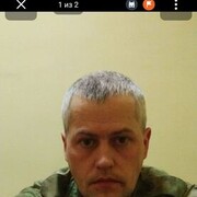  ,  Kot, 37
