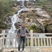  Macau,   , 31 ,   ,   , c , 
