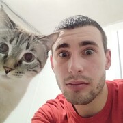  ,   , 28 ,   ,   