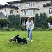 ���������� ������, ���� ������� �����, 44 ����, ������������ ��� ������, ����� � ���������, c�������� ���������