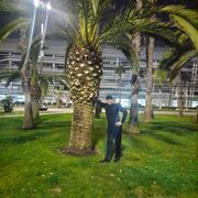 ���������� �����, ���� ������� ��� �����, 40 ���, ������������ 