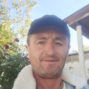  ,  , 48