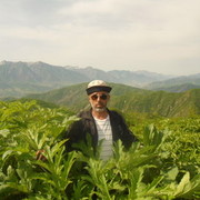  ,   , 60 ,   