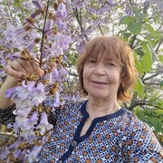 ���������� ����, ���� ������� �������, 68 ���, ������������ ��� ����� � ���������, c�������� ���������