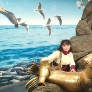 ���������� �����-���������, ���� ������� ���, 36 ���, ������������ ��� ������, ����� � ���������, c�������� ���������