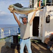 ���������� ������, ���� ������� Natik, 39 ���, ������������ ��� ������, ����� � ���������, c�������� ���������, ���������