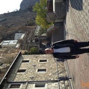  ,   Veselin kora, 56 ,   