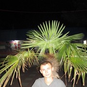 ���������� ��������, ���� ������� �����, 32 ����, ������������ ��� ������, ����� � ���������, c�������� ���������