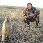 ���������� ���������, ���� ������� Ainur, 33 ����, ������������ 