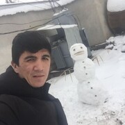 ���������� ������ ��������, ���� ����� Sardor, 24 ����, ������������ ��� ������, ����� � ���������, c�������� ���������