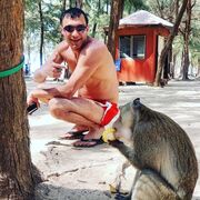 ,   Alkopona, 87 ,   ,   