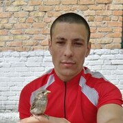  ,   , 29 ,   ,   , c , 