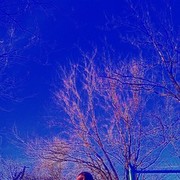  ,   , 31 ,   