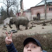 ���������� ���������, ���� ������� ������, 41 ���, ������������ ��� ������, ����� � ���������, c�������� ���������