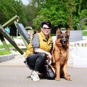 ���������� ����, ���� ������� �����, 50 ���, ������������ ��� ����� � ���������, c�������� ���������