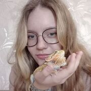 ���������� �����, �����