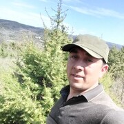 ���������� �����, ���� ������� ��������, 33 ����, ������������ ��� ������, ����� � ���������, c�������� ���������