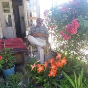  ,   , 61 ,   ,   