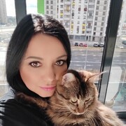  ,   , 41 ,     , c 