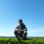 ���������� ������, ���� ������� ���������, 41 ���, ������������ ��� ������, ����� � ���������, c�������� ���������