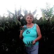  ,   , 66 ,   ,   , c 