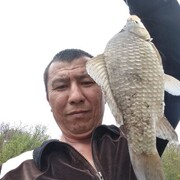 ���������� ������-��-����, ���� ������� �����, 50 ���, ������������ ��� ������, ����� � ���������