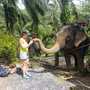 ���������� �������, ���� ������� ������, 46 ���, ������������ ��� ����� � ���������, c�������� ���������