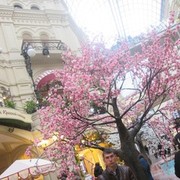 ���������� �������, ���� ������� �������, 34 ����, ������������ ��� ������, ����� � ���������, c�������� ���������