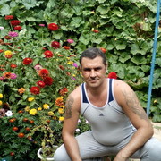  ,   , 43 ,  