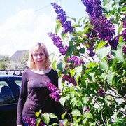  ,   , 51 ,     , c 