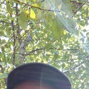  ,   , 41 ,   c 
