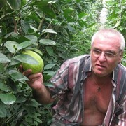  --,   , 63 ,   ,   , c 