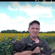 ���������� ����, ���� ������� ������, 43 ����, ������������ ��� ������, ����� � ���������, c�������� ���������, ���������