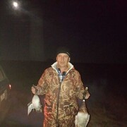  ,   , 62 ,     