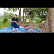 ���������� ������, ���� ������� ����, 49 ���, ������������ ��� ������, ����� � ���������