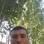 ���������� �����-���������, ���� ������� ������, 37 ���, ������������ ��� ������, ����� � ���������