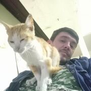 ���������� ������, ���� ������� �����, 45 ���, ������������ ��� ������, ����� � ���������