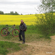  ,   , 51 ,   