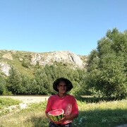  ,   , 51 ,   ,   